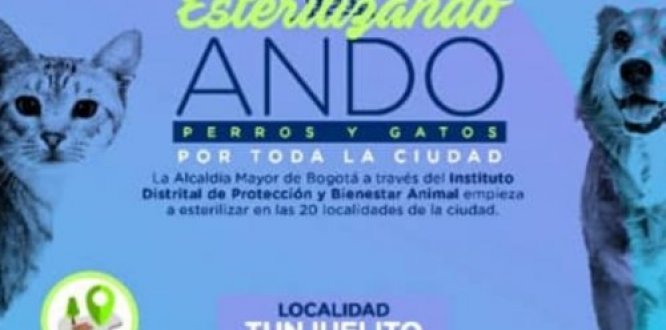 Jornadas de esterilización de mascotas en tunjuelito 