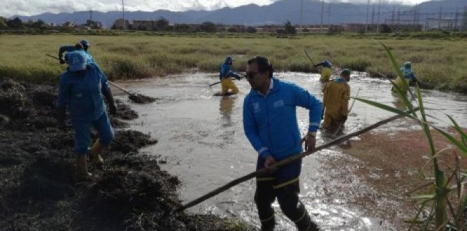 Limpieza en el Humedal el Tunjo de Tunjuelito 