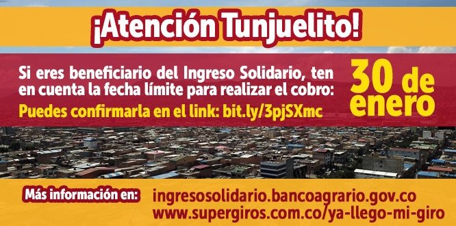 Ingreso Solidario