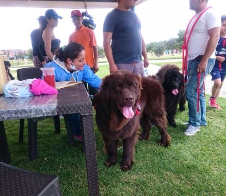 Festiparque en el Tunal