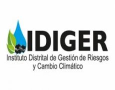 Sitio Web IDIGER